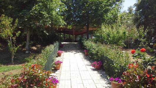 ktima-kantri-leventochori