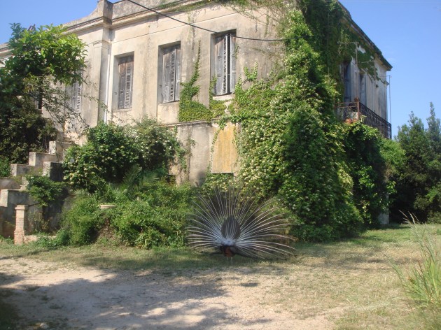 mercouri estate