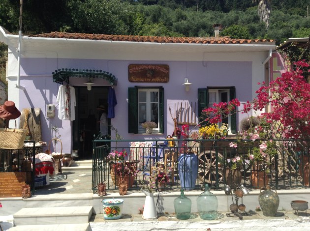 the collector's store